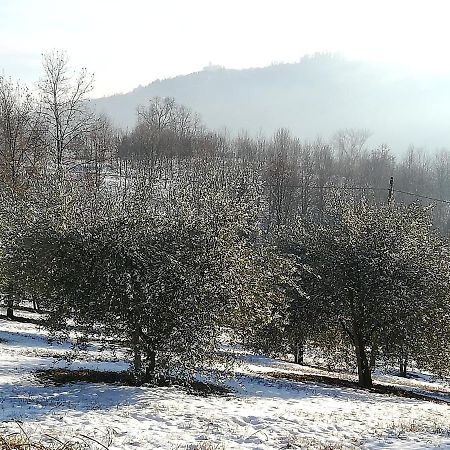 Sotto La Luna Bruna B&B Cocconato Kültér fotó