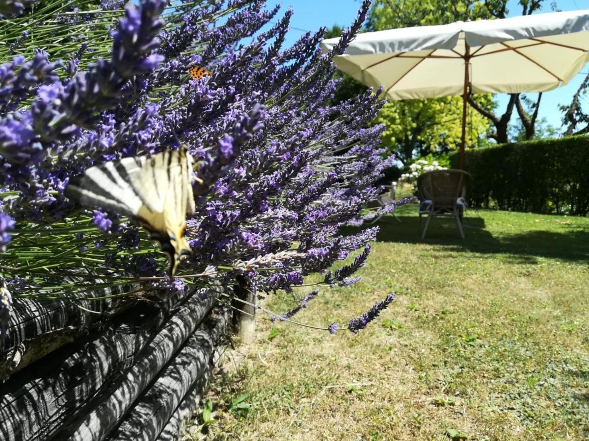 Sotto La Luna Bruna B&B Cocconato Kültér fotó