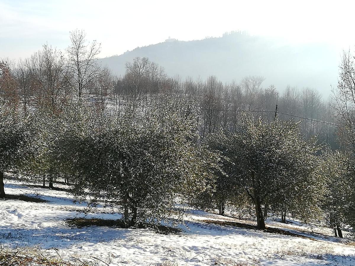 Sotto La Luna Bruna B&B Cocconato Kültér fotó