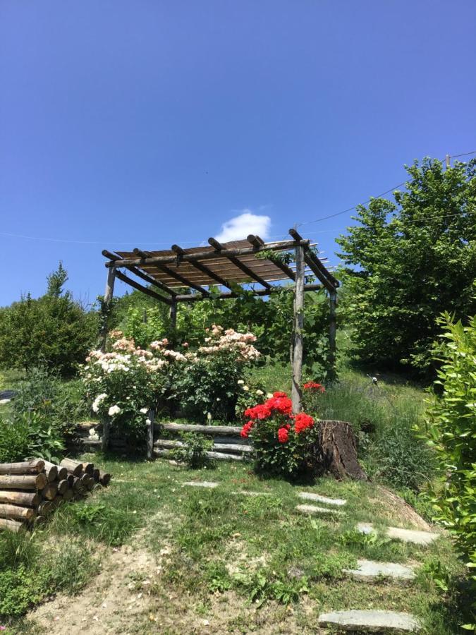 Sotto La Luna Bruna B&B Cocconato Kültér fotó