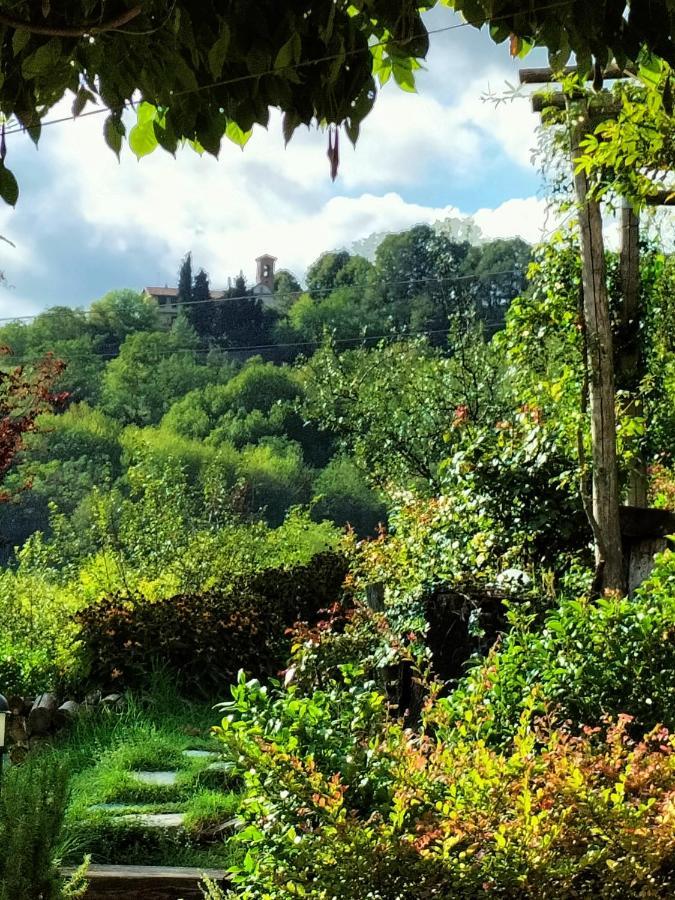 Sotto La Luna Bruna B&B Cocconato Kültér fotó