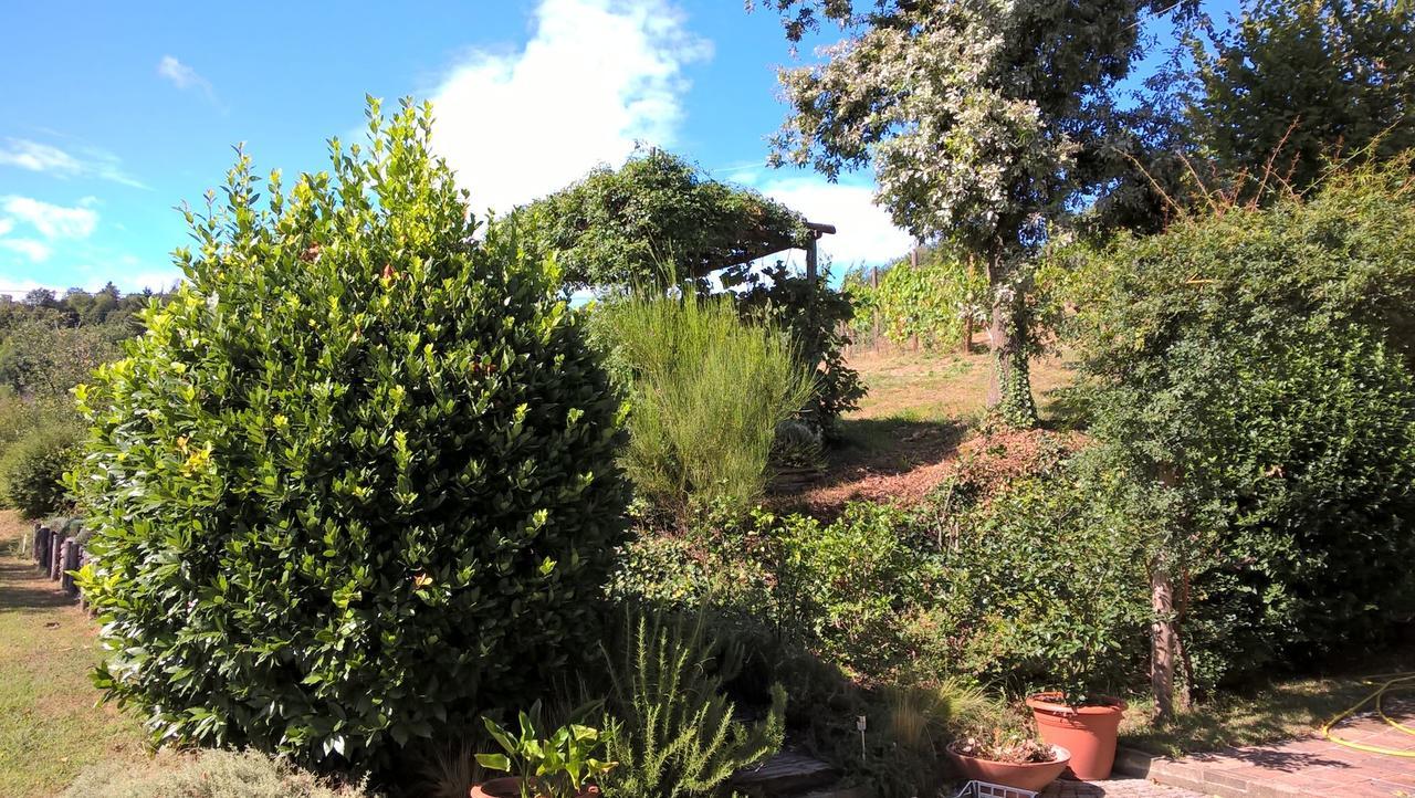 Sotto La Luna Bruna B&B Cocconato Kültér fotó