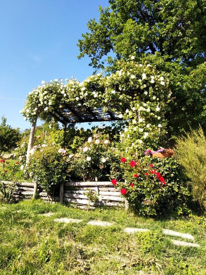 Sotto La Luna Bruna B&B Cocconato Kültér fotó